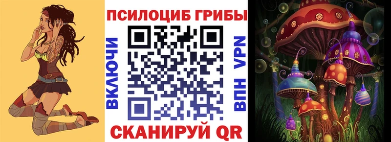где купить наркоту  Чебоксары  Псилоцибиновые грибы Psilocybine cubensis 