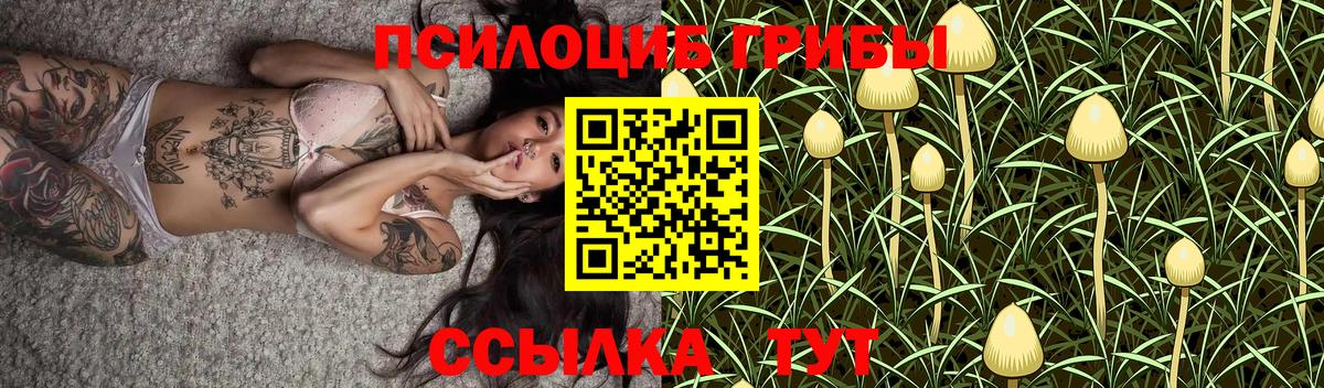 Чебоксары  Псилоцибиновые грибы мухоморы  Галлюциногенные грибы GOLDEN TEACHER  Вход с VPN 